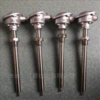 wzp赫斯(sī)曼溫度傳感(gan)器